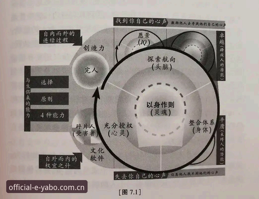 亚博体育平台下载评测与使用指南：探索安全高效的官方入口